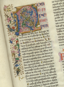 Icono sociedad cortesana