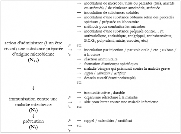 Figure 3. La description sémantique de « vaccination » (noyau-stéréotypes)