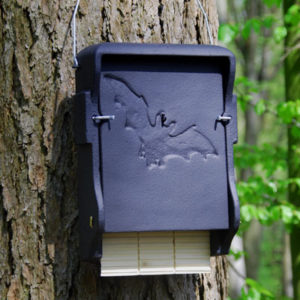 Exemple de nichoir à chauve souris