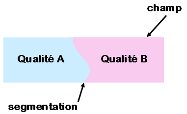 Fig.1 - Une entité définie par une qualité = une connaissance (visuelle) élémentaire 