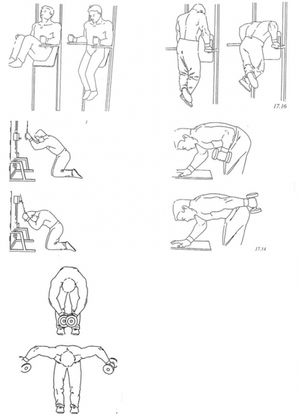 Fig. 3. Exercices typiques