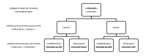 Figure 4. Arborescence structurale du « chocolat ».