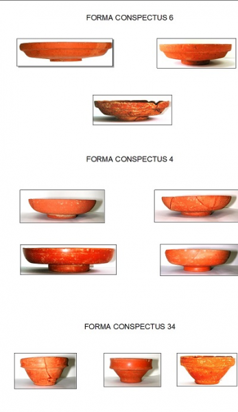 Figure 9. Classification of locally produced pottery in Sigillata Italica from Sa Mitza Salida, Masullas (Photo Credit: Personal Archive 2016).