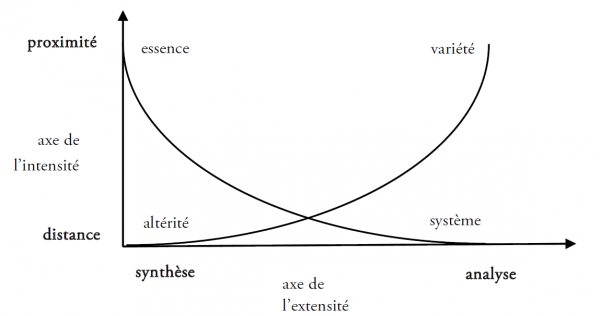 Figure 3. Schéma tensif de la forme épistémique de l’objet (239)