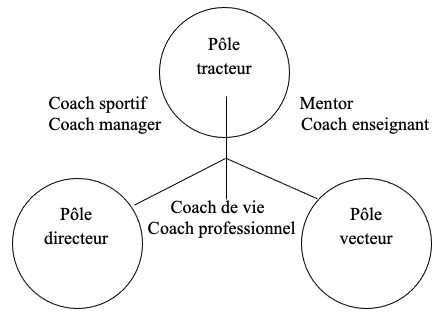 Schéma 1 : pôles tensifs du coaching