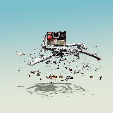 Figure 5. Paho Mann, série Fragmented camera, 2019.