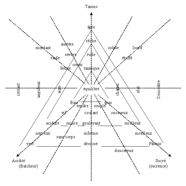 Figure 5 : Les descripteurs de l’équilibre (Peynaud et Blouin, 2006, p. 141)