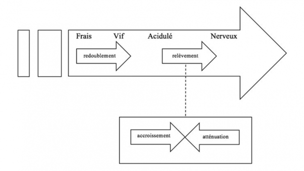 Figure 6 : Dynamique tensive incarnée par l’axe de l’acidité