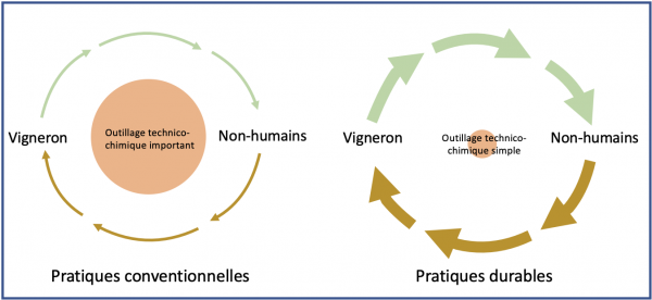 Figure 9 : Circulation du sens dans les pratiques vitivinicoles