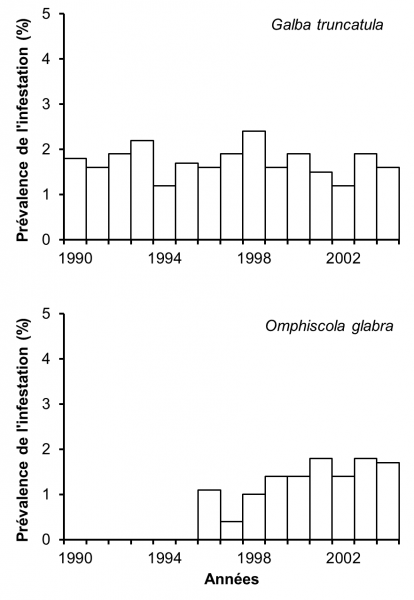 Figure 2 : Prévalence de l’infestation naturelle par Fasciola hepatica chez les limnées de 59 cressonnières naturelles du Limousin sur une période de 15 années (1990-2004). Ces chiffres proviennent de 19.249 G. truncatula et de 13.039 O. glabra récoltés au cours de cette période. D’après Rondelaud (2004) et Dreyfuss et al. (2005).
