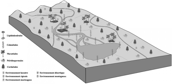 Figure 4. Reconstruction paléoenvironnementale du bassin de Bosmoreau-les-Mines au Stéphanien.