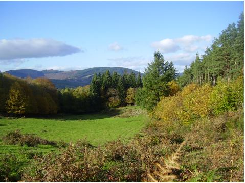 Photo 1 : Vue sur le massif granitique des Monédières (Corrèze), avec sommets en demi-globes, et variété de la végétation. Cl HB.