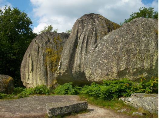 Photo 10 : Les cannelures visibles sur les boules du granite des Pierres-Jaumâtres (Creuse) sont dues à l’altération climatique durant le Quaternaire récent (quelques milliers d’années). Cl. HB.