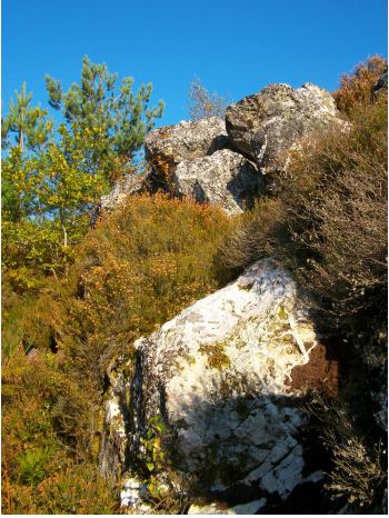 Photo 6 : Près de Bourganeuf, ce filon de quartz a rempli une fracture qui recoupe roches métamorphiques et granites (le quartz de ce site impressionnant n’a pas été exploité pour la porcelaine). Cl. HB. 