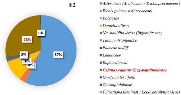Figure 4 : Importance des pollens de Cajanus Cajan dans le mois de janvier