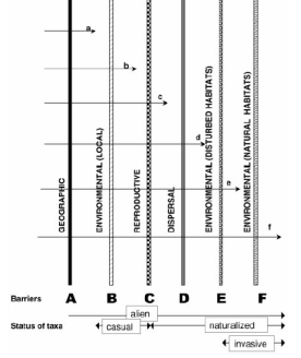 Figure 1 : Les barrières à franchir pour une espèce exotique nouvellement arrivée sur un territoire (Richardson et al. 2000)