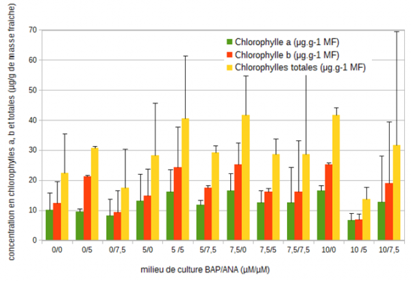 Figure 5 : Evolution des concentrations moyennes (µg/g de masse fraîche) en chlorophylles a, b et totales chez la mandragore après 35 jours de culture en fonction des différents équilibres de régulateurs de croissance (6-benzyl aminopurine (µM)/ acide 1-naphtalène acétique (µM)).
