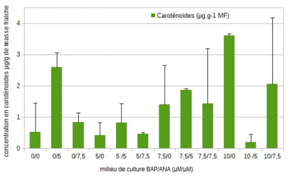 Figure 6 : Evolution des concentrations moyennes (µg/g de masse fraîche) en caroténoïdes chez la mandragore après 35 jours de culture en fonction des différents équilibres de régulateurs de croissance (6-benzyl aminopurine (µM)/ acide 1-naphtalène acétique (µM)).