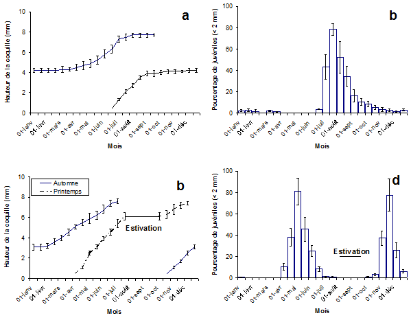 Figure 3. La croissance des limnées (3a, c) et l’évolution numérique des juvéniles (3b, d) dans les trois habitats à une seule génération annuelle pour G. truncatula (3a, b) et dans les deux sites où l’on trouve deux générations pour cette limnée (3c, d).