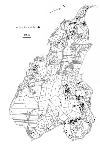 Figure 4 : Localisation des arbres à cavités de la réserve naturelle de la tourbière des Dauges