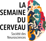 Icône Semaine du Cerveau