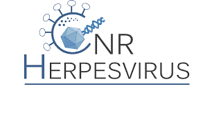 logo CNR herpervirus