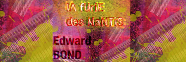 THEATRE PIECES DE GUERRE " LA FURIE DES NANTIS"