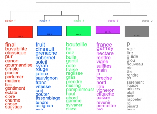 Figure 5 : classification hiérarchique descendante issue du Glou Guide