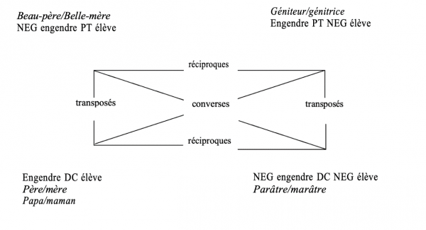 Figure 2 : Carré argumentatif relatif à « père/mère » et leurs converses/réciproques/transposés