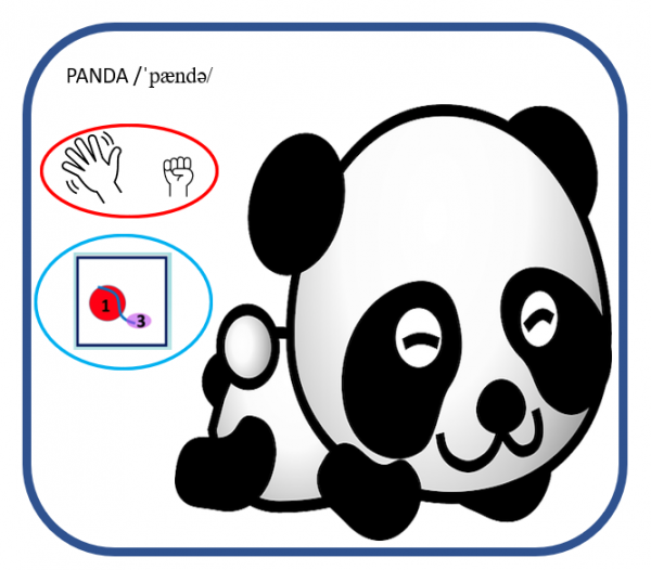 Figure 10. Le mot « panda » illustré. Dans l’ovale rouge : les gestes des mains pour la succession des syllabes (accentuée puis inaccentuée). Dans l’ovale bleu : le dessin représentant la courbe mélodique. Les chiffres ainsi que la taille des ronds et des ovales indiquent la saillance perceptive des deux syllabes