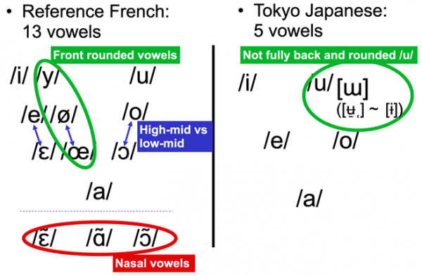 Figure 2: Vowel inventories of Reference French (left: based on Vaissière, 2006, inter alia) and of Tokyo (Kanto) Japanese (right: based on Shibatani, 1990, Sugitô, 1995, Vance, 2008, inter alia). 