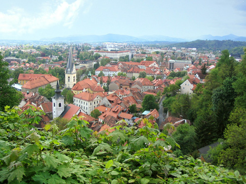 ThDellier4