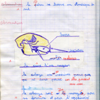 https://www.unilim.fr/histoire-education/upload/espe_cahier_0119_087.jpg