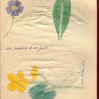 espe_cahier_0196_005.jpg