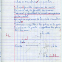 https://www.unilim.fr/histoire-education/upload/espe_cahier_0124_019.jpg