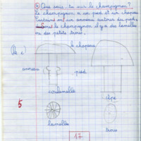 https://www.unilim.fr/histoire-education/upload/espe_cahier_0124_020.jpg