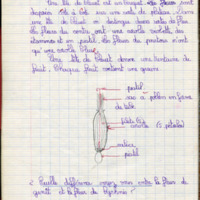 https://www.unilim.fr/histoire-education/upload/espe_cahier_0157_098.jpg