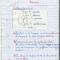 https://www.unilim.fr/histoire-education/upload/espe_cahier_0124_056.jpg
