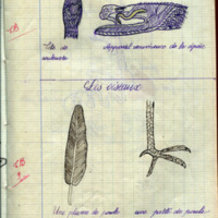 espe_cahier_0194_031.jpg