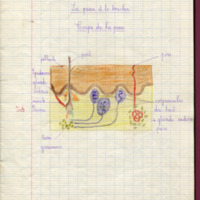 espe_cahier_0216_007.jpg