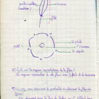 https://www.unilim.fr/histoire-education/upload/espe_cahier_0156_044.jpg