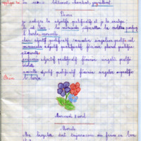 https://www.unilim.fr/histoire-education/upload/espe_cahier_0106_009.jpg