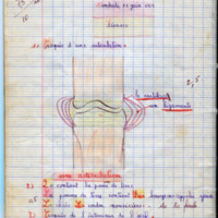 https://www.unilim.fr/histoire-education/upload/espe_cahier_0109_066.jpg