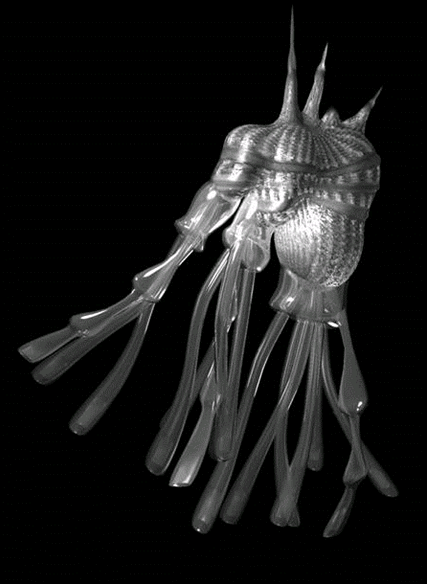 Louis Bec. Emballone Notheia, 1999, artificial life model, softimage