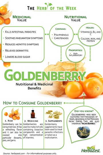 Figure 3: Goldenberry Nutritional and Medicinal Benefits Infographic