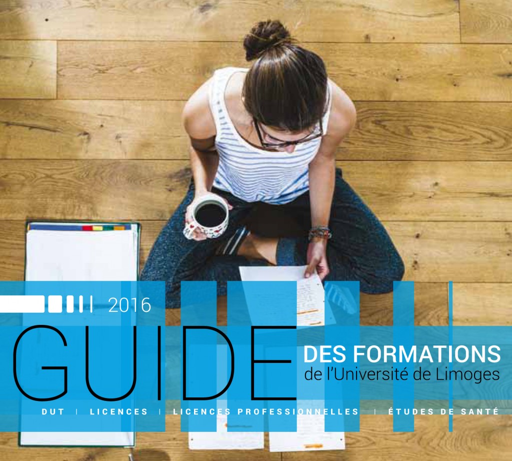 Quels Sont Les Différents Types De Formations Diplômantes À Limoges – IJCDF
