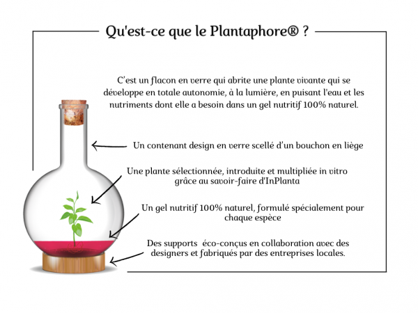Figure 2 : le concept du Plantaphore®.