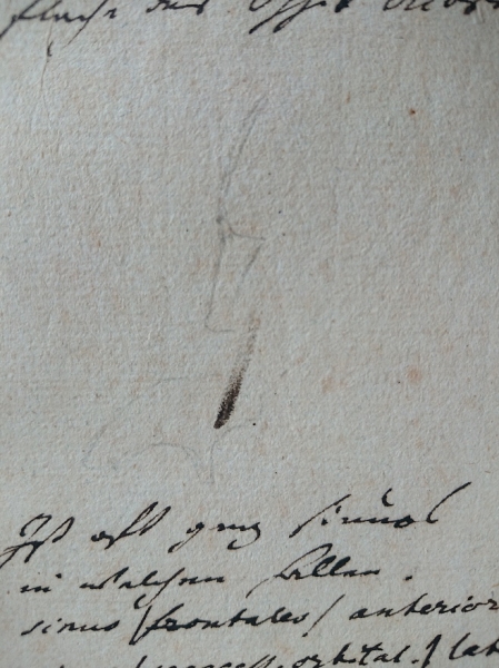 Figure 2 : Manuscript, Goethe und Schiller Archiv