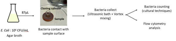 Figure 7: Schematic summary of the main steps in the antibacterial tests performed at E2Lim.