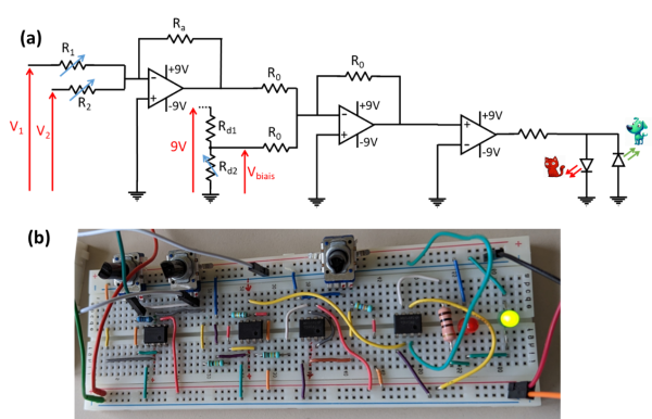 Figure 7-a Scéma du perceptron « chien/chat » - b Circuit réalisé sur une plaque d’étude, alimenté par deux piles de 9V, intégrant des AO, des résistances, des potentiomètres et deux diodes, l’une verte et l’autre rouge.